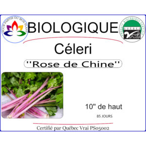 Plant de Céleri Rose de Chine