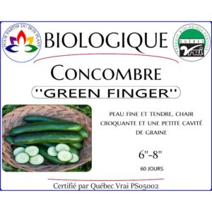 Plant de concombre Green Finger