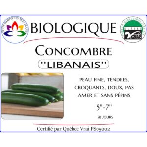 Plant de concombre Libanais