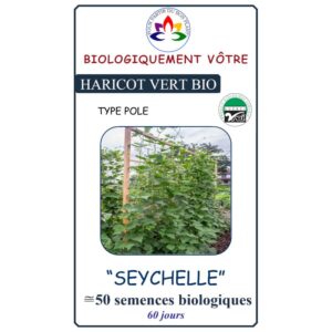 Haricot Vert Seychelle