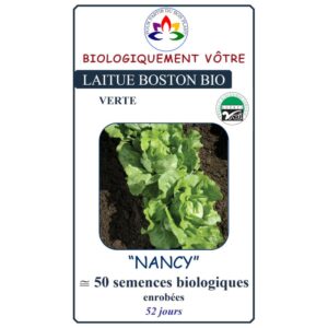 Laitue Boston Verte Nancy
