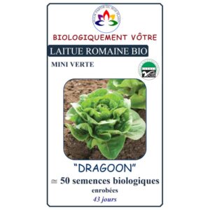 Laitue Romaine Mini verte Dragoon
