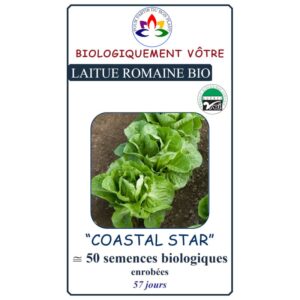 Laitue Romaine Coastal Star