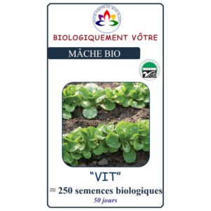 Mâche Vit