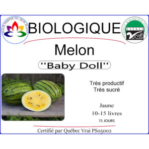 Plant de melon Baby Doll