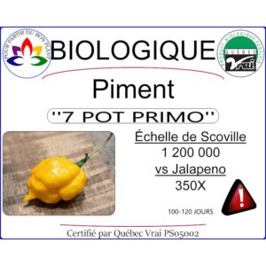 Plant de Piment fort 7 pot primo jaune