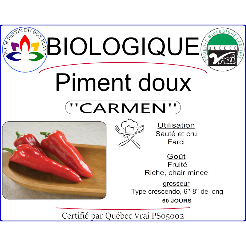 Plant de piment doux Carmen