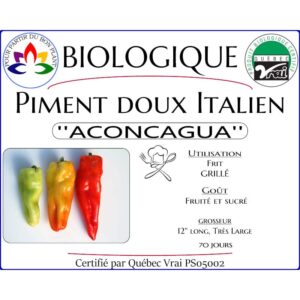 Plant de piment doux Aconcagua