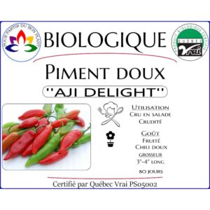 Plant de piment doux Aji Delight