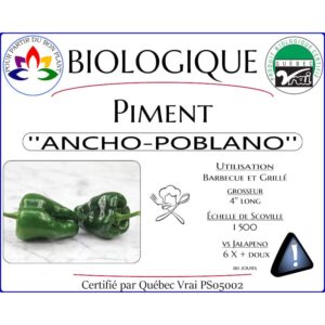 Plant de piment fort Ancho-Poblano