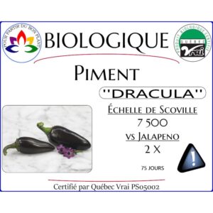 Plant de piment fort Black Hungarian Dracula