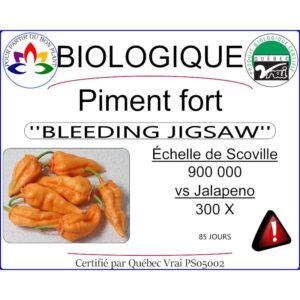 Plant de piment fort Bleeding Jigsaw