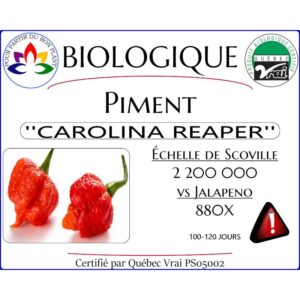 Plant de piment fort Carolina Reaper Rouge