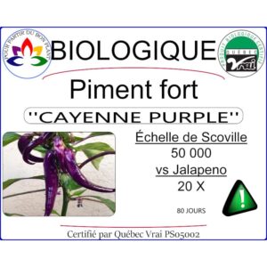 Plant de piment fort Cayenne Pourpre