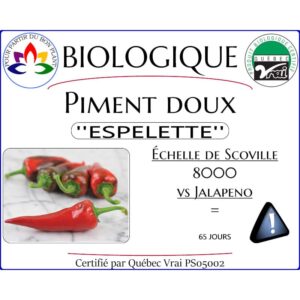 Plant de piment doux Espelette
