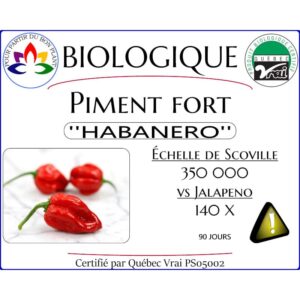 Plant de piment fort Habanero Rouge