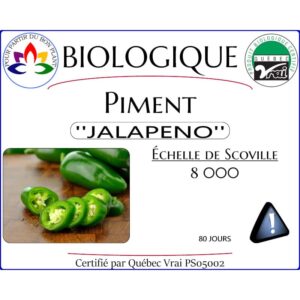 Plant de piment fort Jalapeno