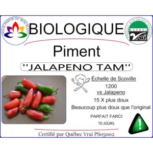 Plant de piment fort Jalapeno Tam