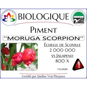Plant de piment fort Moruga Scorpion Rouge