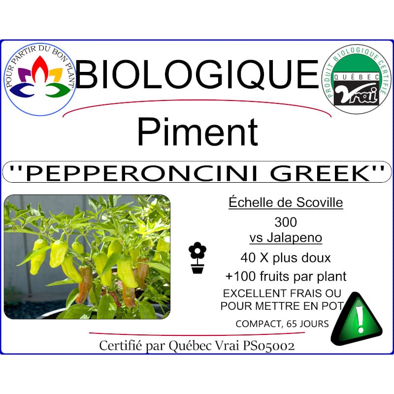 Plant de piment Pepperoncini Greek