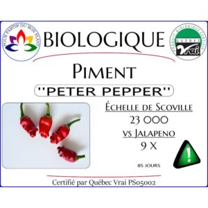 Plant de piment fort Peter Pepper Rouge