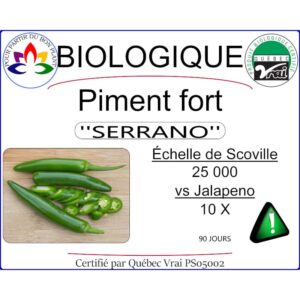 Plant de piment fort Serrano