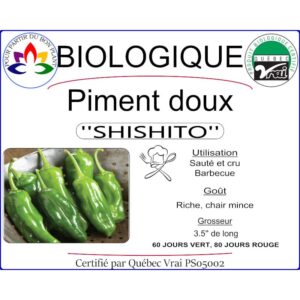 Plant de poivron doux Shisito