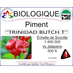 Plant de piment fort Triniad Butch T Rouge