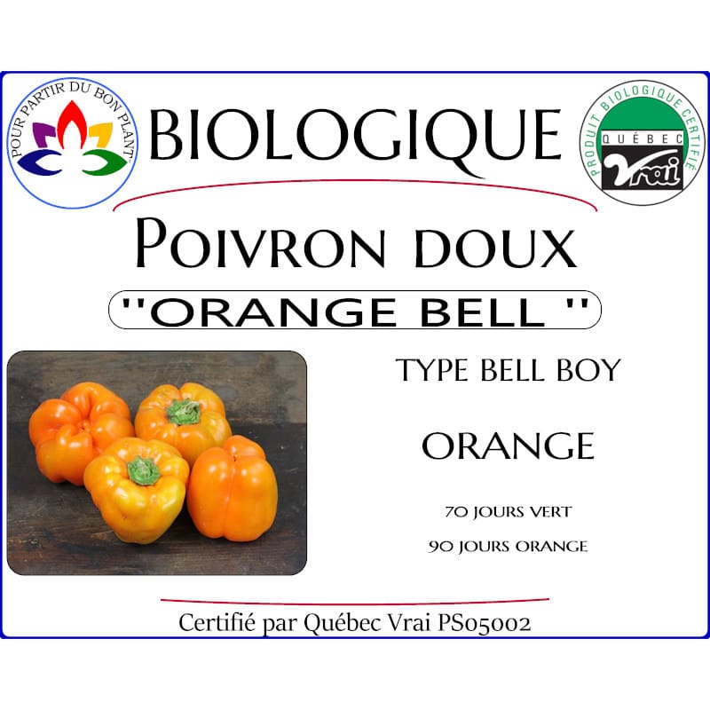 Plant de poivron doux Orange Bell