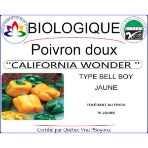 Plant de poivron California Wonder