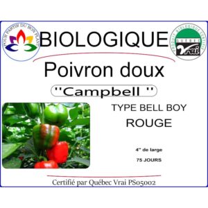 Plant de poivron doux Campbell