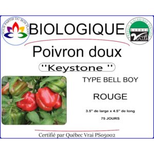 Plant de poivron doux Keystone rouge