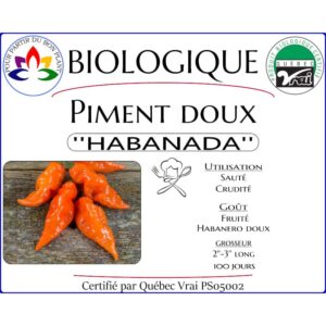 Plant de piment doux Habanada