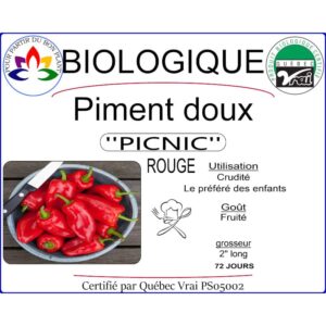 Plant de piment doux Picnic Rouge