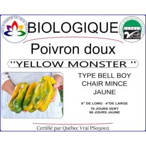 Plant de poivron doux Yellow Monster