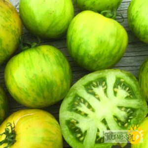 Tomate Green Zebra