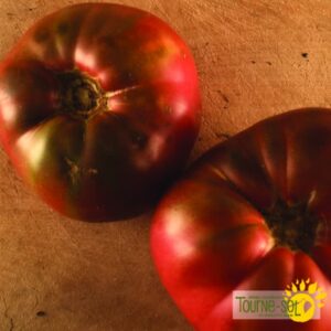 Tomate Cherokee Purple