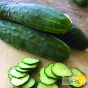 Concombre des champs