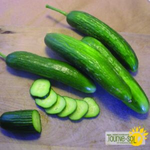 Concombre Super Zagross