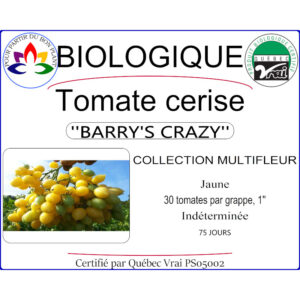 Plant de tomate cerise Barry's crazy