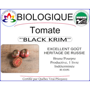 Plant de tomate Black Krim