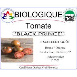 Plant de tomate Black Prince