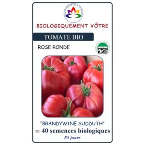 Tomate Brandywine Sudduth