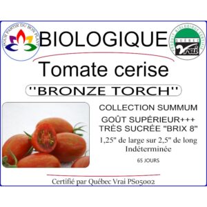 Plant de tomate cerise Bronze Torch