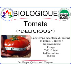 Plant de tomate Delicious