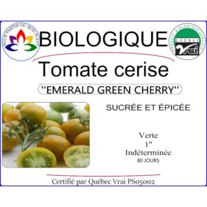 Plant de tomate cerise Emerald Green Cherry