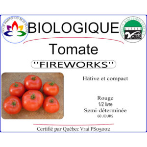 Plant de tomate Fireworks