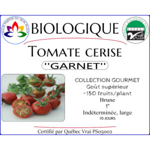 Plant de tomate cerise Garnet