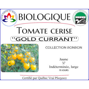 Plant de tomate cerise Currant