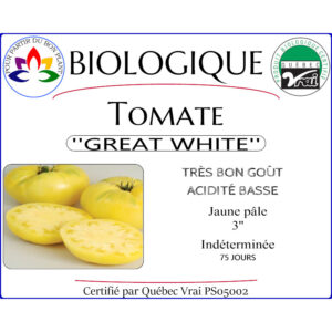 Plant de tomate Great White
